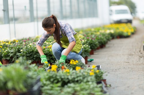 Illustration of a garden in Earls Court representing local garden maintenance services