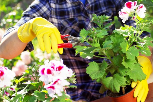 Team member inspecting a garden in Earls Court