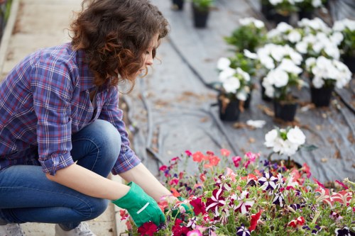 Gardener tending a garden path in Earls Court