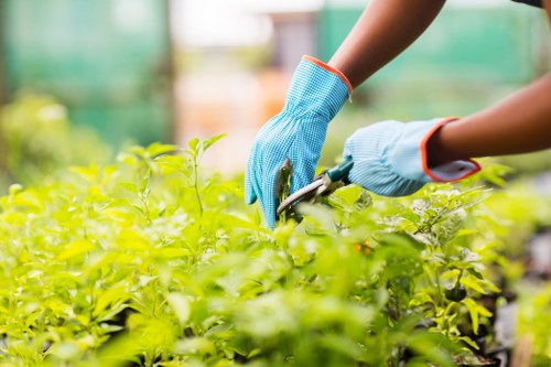 Our team providing comprehensive garden care