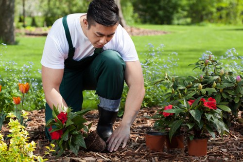 Checklist of accessibility features for Earls Court gardening