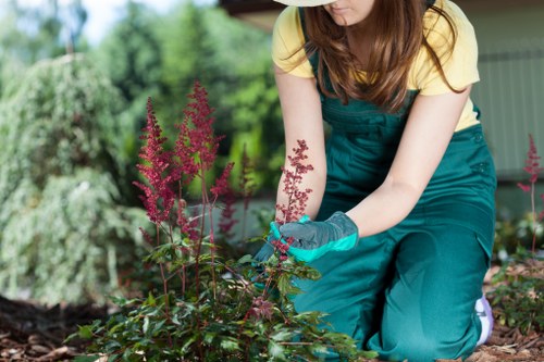 Professional garden maintenance services in Earls Court