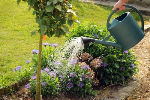 Expert garden maintenance in Earls Court